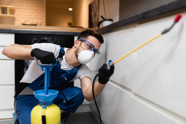 Best Mosquito Control Services  in Ledgewood, NJ