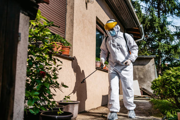 Best Insect Control  in Ledgewood, NJ