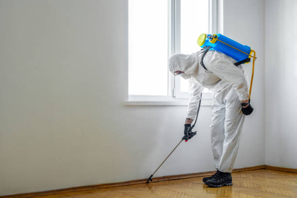 Best Commercial Pest Control Services  in Ledgewood, NJ