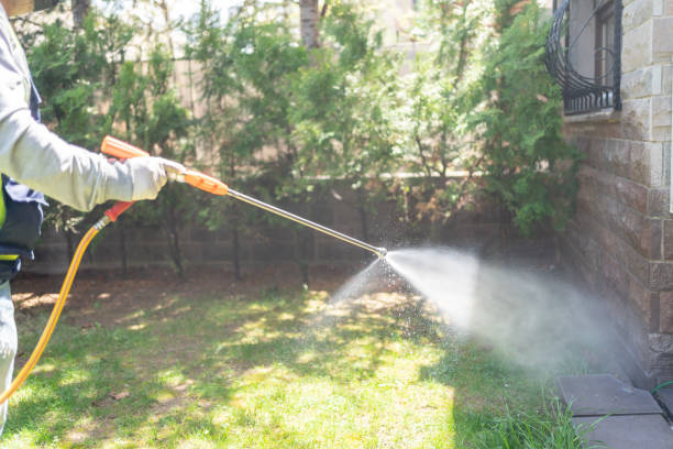 Best Flea Control Services  in Ledgewood, NJ
