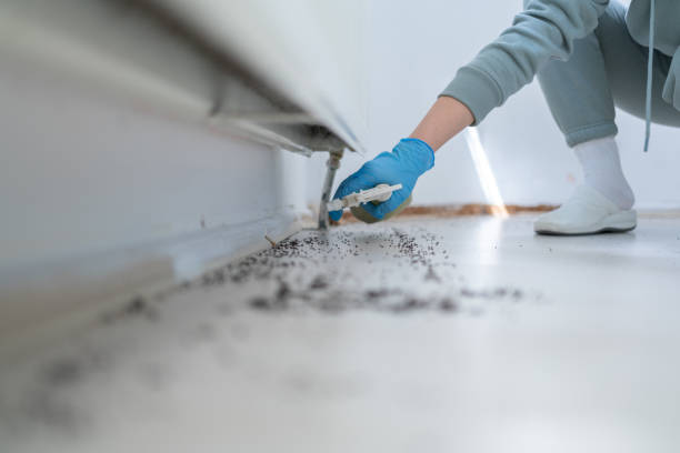 Best Emergency Pest Control  in Ledgewood, NJ
