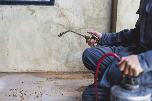 Best Pest Removal Services  in Ledgewood, NJ